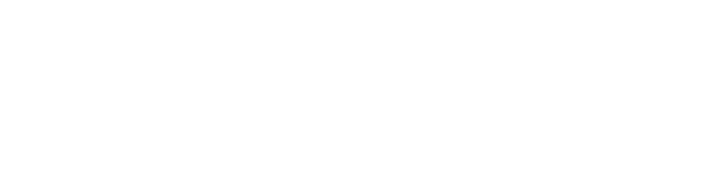 Logo Borsari Rovigo Bianco